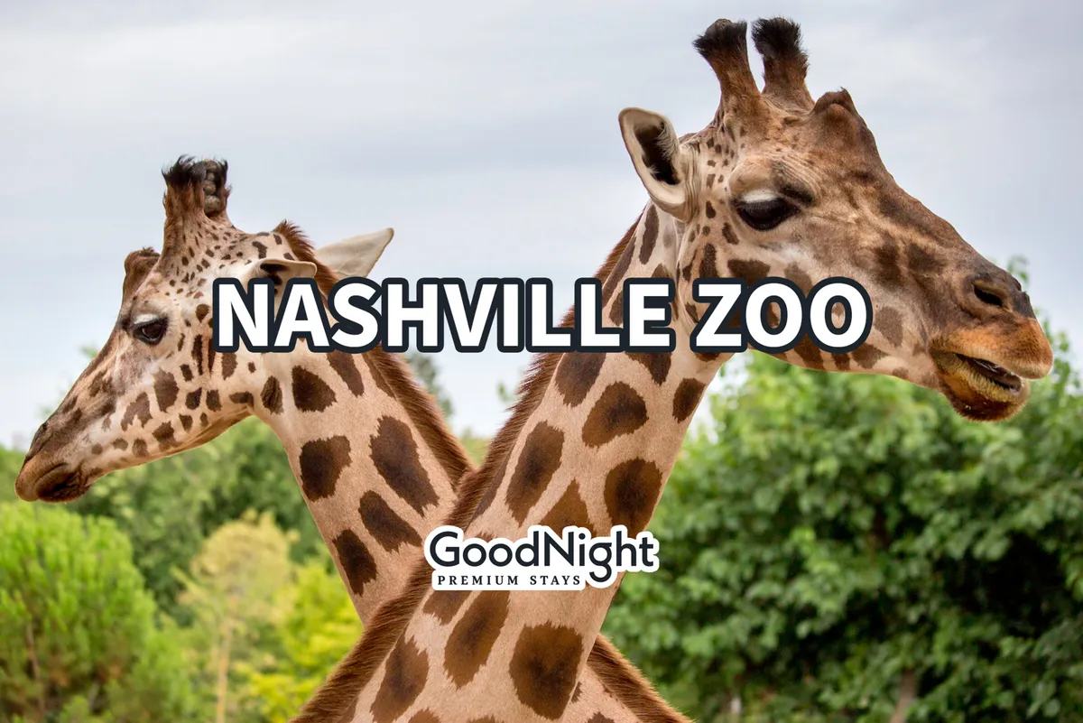 This image captures two giraffes in a lush, green outdoor setting at the Nashville Zoo. The scene is vibrant and joyful, evoking the excitement and curiosity of a zoo visit. The background is filled with lush greenery, reinforcing the natural, family-friendly atmosphere of the zoo.